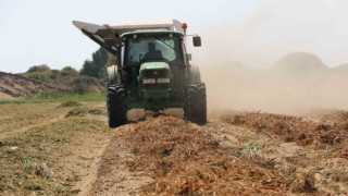 Tarım sigortası yüzde 138 arttı