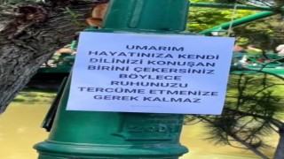 Direğe asılan duygusal yazı sosyal medyada çok sayıda beğeni ve farklı yorum aldı