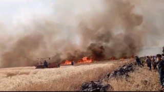 Diyarbakırda yaklaşık 200 dönüm ekili arazi küle döndü