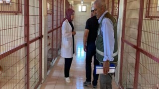 DKMPden hayvan bakımevinde hijyen denetimi