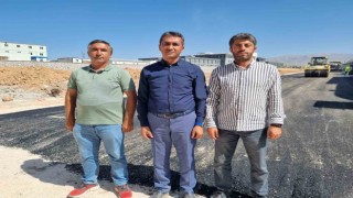 Dünya kayısı ticaret merkezinde asfaltlama çalışmaları başladı