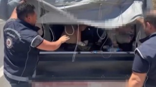 Durdurulan kamyonetin kasasında 43 düzensiz göçmen yakalandı