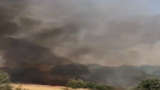 Edirnede 2 bin dönüm ayçiçek tarlası yandı