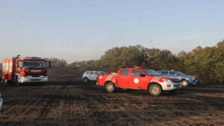 Edirnede orman yangını söndürüldü