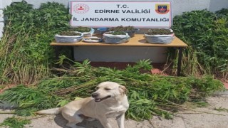 Edirnede uyuşturucu operasyonu: 14 kilo 792 gram uyuşturucu ele geçirildi