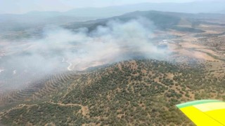 Ekin tarlasında başlayan yangın ormana sıçradı