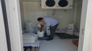 Elazığda üretilen milyonlarca balık göl ve barajlara salınıyor