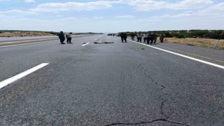 Elazığda yolun karşısına geçmeye çalışan yayaya araç çarptı