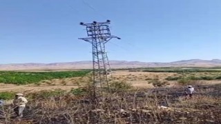 Elektrik direğinden çıkan kılvılcım 5 dönümlük bahçeyi kül etti