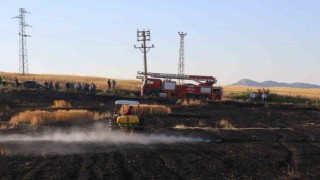 Elektrik direğinden sıçrayan kıvılcımlar 8 dönüm araziyi kül etti