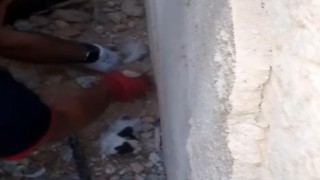 Enkaz altında kalan kedi yavrularını itfaiye kurtardı