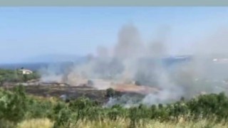 Erdek Tatlısu yangını korkuttu