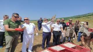 Erdekte 350 sülün ve keklik doğayla buluştu