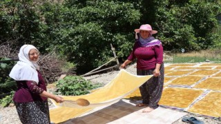 Erzurumda Karnavas dut pestili yapımı başladı