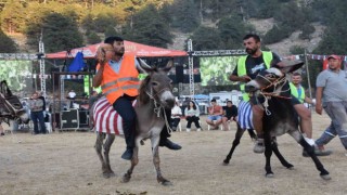 Eşek üzerinde ellerindeki topla gol atmak için çabaladılar