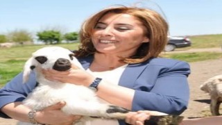 Eski HDPli Belediye Eş Başkanı tutuklanarak cezaevine gönderildi