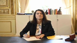 Eski İsveçli bakandan PKK itirafı: Türkiye'nin ciddi şekilde etkilendiği terörizmi ciddiye almadık
