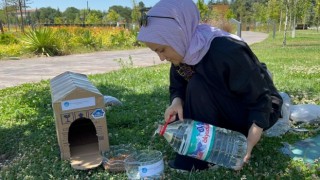 Eskişehir Ülkü Ocaklarından sokak hayvanlarına mama ve su desteği