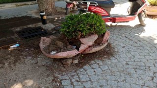Eskişehirde dikkatsiz sürücü aracını park ederken beton saksıyı kırdı