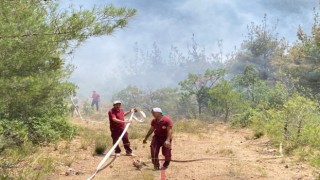 Eskişehirde orman yangını