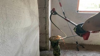 Eve giren yılanı ekipleri itfaiye çıkarttı