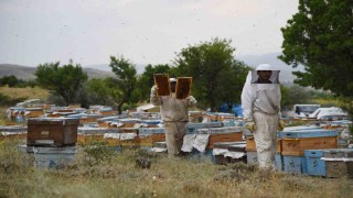 Fenni arıcılık kredi desteği