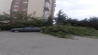 Fırtınada devrilen ağaç otomobilin üzerine düştü