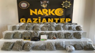 Gaziantepte 18 kilo skunk ele geçirildi: 1 gözaltı