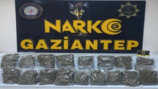 Gaziantepte 8 kilo 550 gram skunk ele geçirildi: 2 gözaltı
