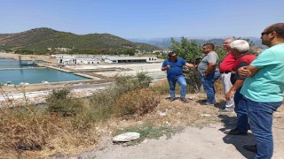 Gazipaşada plaj ve deniz suyunda denetim ile izleme yapıldı