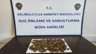 Geliboluda sırt çantasından 90 gram skunk çıktı: 2 gözaltı