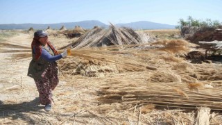 Göllerden temin edilen kamışlar ekonomiye kazandırılıyor