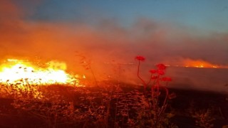 Gönende anız yangını, 60 dönüm yer kül oldu