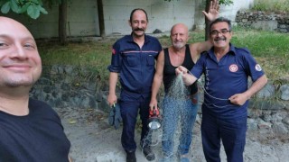 Gümüşhanede tırıvırıyla kedi kurtarma operasyonu