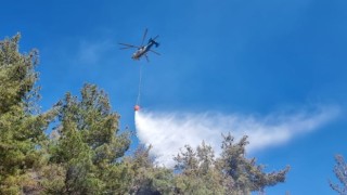 Hasanbeylide orman yangını kontrol altına alındı
