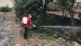 Haşere ve Sineklere Karşı İlaçlama Çalışmaları Devam Ediyor