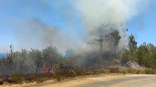 Hatayda orman yangını, hava ve karadan müdahale ile kontrol altına aldı
