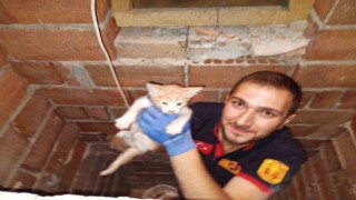 Havalandırma boşluğuna düşen yavru kediyi itfaiye kurtardı
