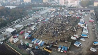 Havsa Canlı Hayvan Pazarı kapatıldı