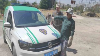 HAYDİ tarafından bulunan yavru baykuş tedavi altına alındı