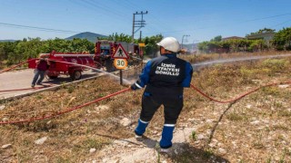 Hem hayatı paylaşıyor, hem alevlere birlikte müdahale ediyorlar