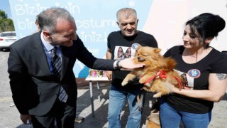 İnegöl Belediyesi 6 ayda 2 bin 700 hayvana şifa oldu