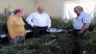 İpekböcekçiliği, kadın üreticilerin ellerinde yeniden canlandı