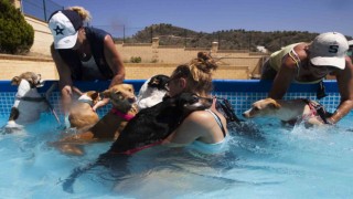 İspanyada hava sıcaklığı 44.8 dereceye ulaştı