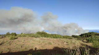 İspanya'da orman yangını: 11 ev yandı, 140 hektar alan kül oldu, 500 kişi tahliye edildi