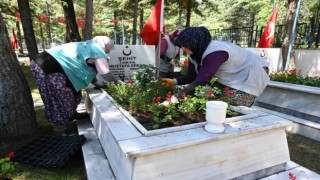 Isparta Belediyesi şehit kabirlerini çiçeklerle donattı