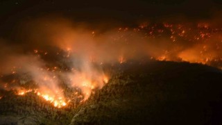 İsviçrede ormanlık alanda yangın