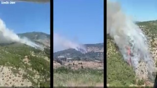 İzmir ve Manisada 9 orman yangını söndürüldü
