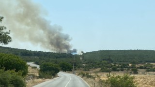 İzmirde bir orman yangını daha başladı