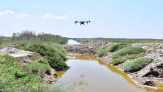 İzmirde sivrisinek ile dronlu mücadele